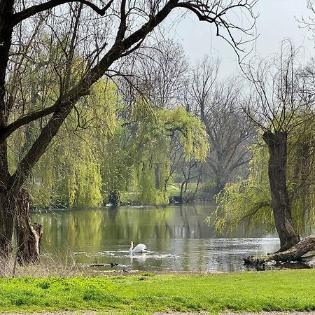 Strasbourg, Appartement Cosy Au Bord De L Eau Екстериор снимка