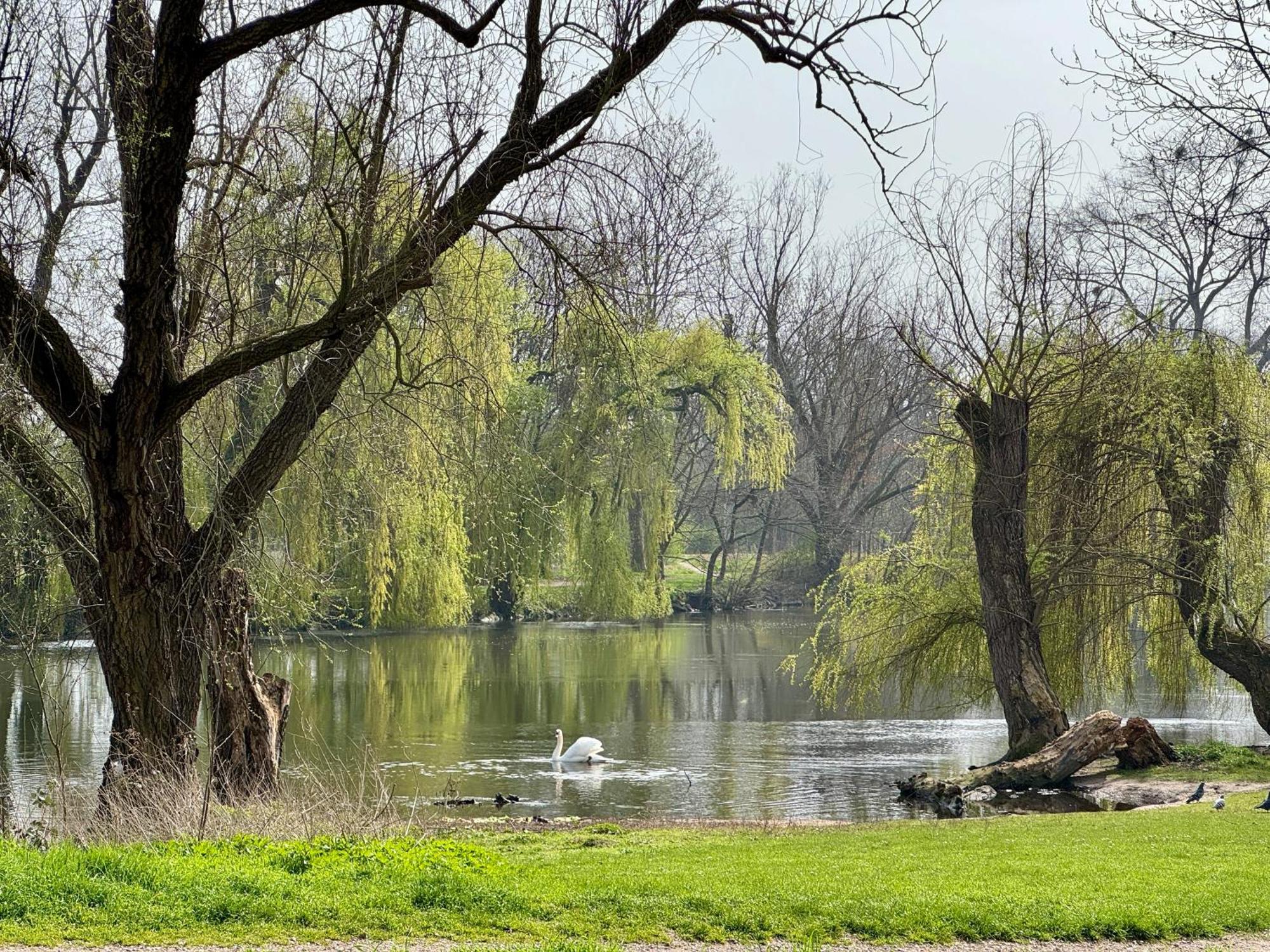 Strasbourg, Appartement Cosy Au Bord De L Eau Екстериор снимка